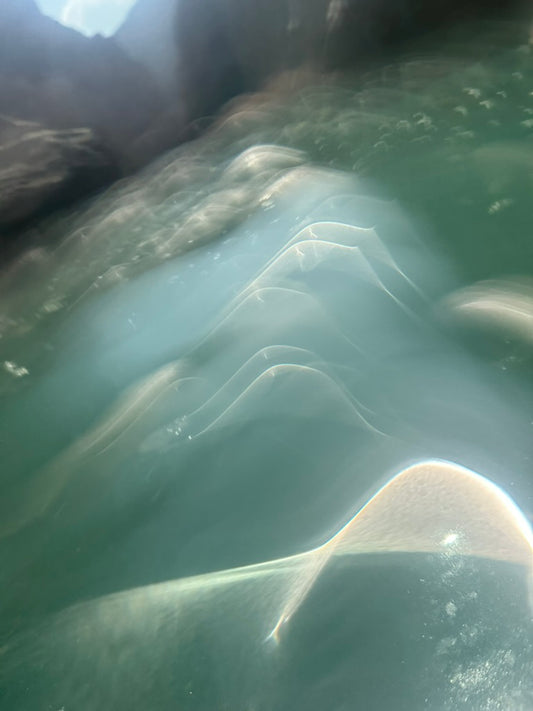 Wisdom of Water - 12pm to 7:30pm